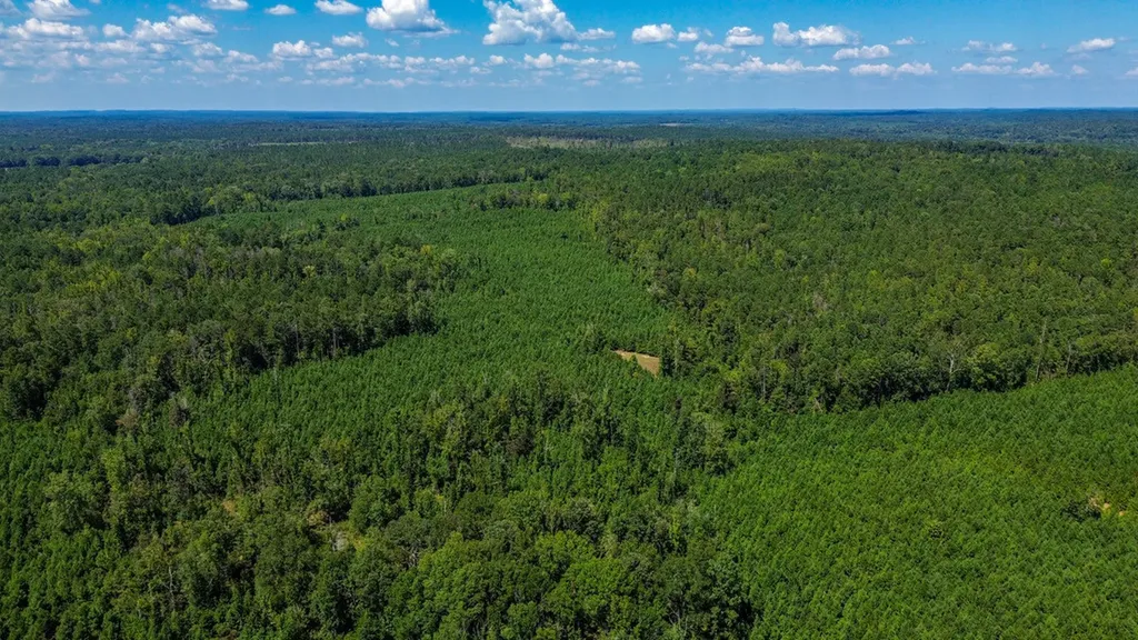 0 Co Road 61 Pine Apple AL 36768