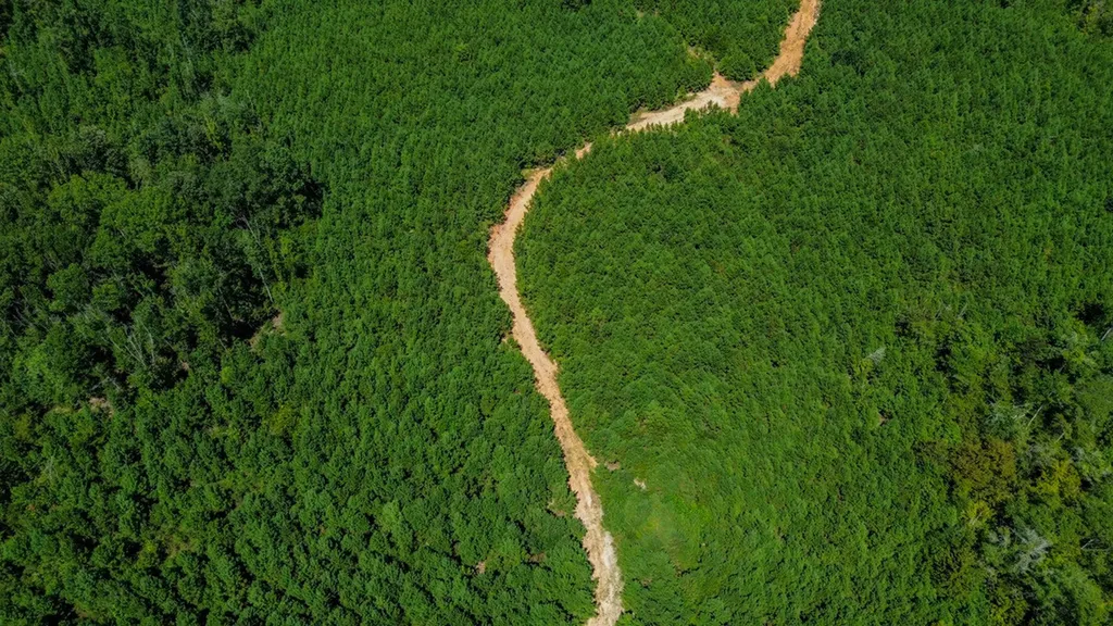 0 Co Road 61 Pine Apple AL 36768