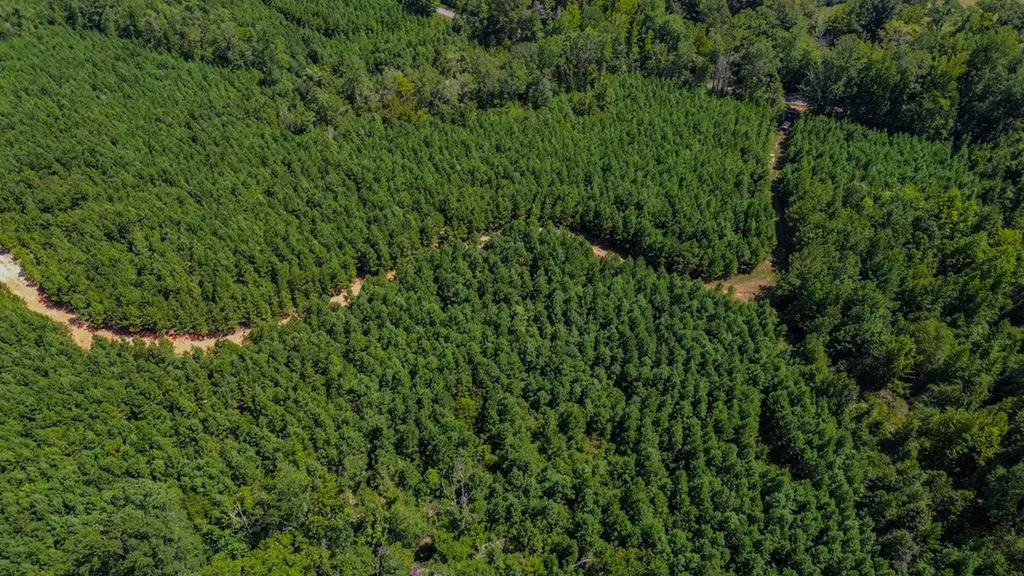 0 Co Road 61 Pine Apple AL 36768