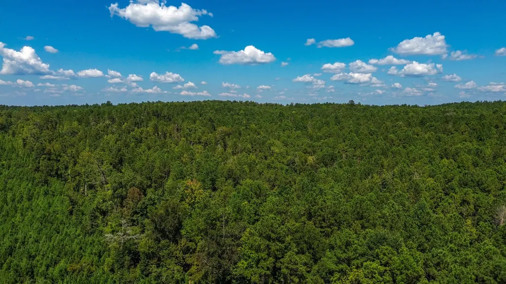 0 Co Road 61 Pine Apple AL 36768