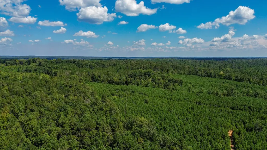 0 Co Road 61 Pine Apple AL 36768