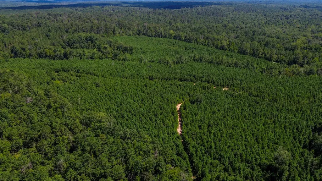 0 Co Road 61 Pine Apple AL 36768