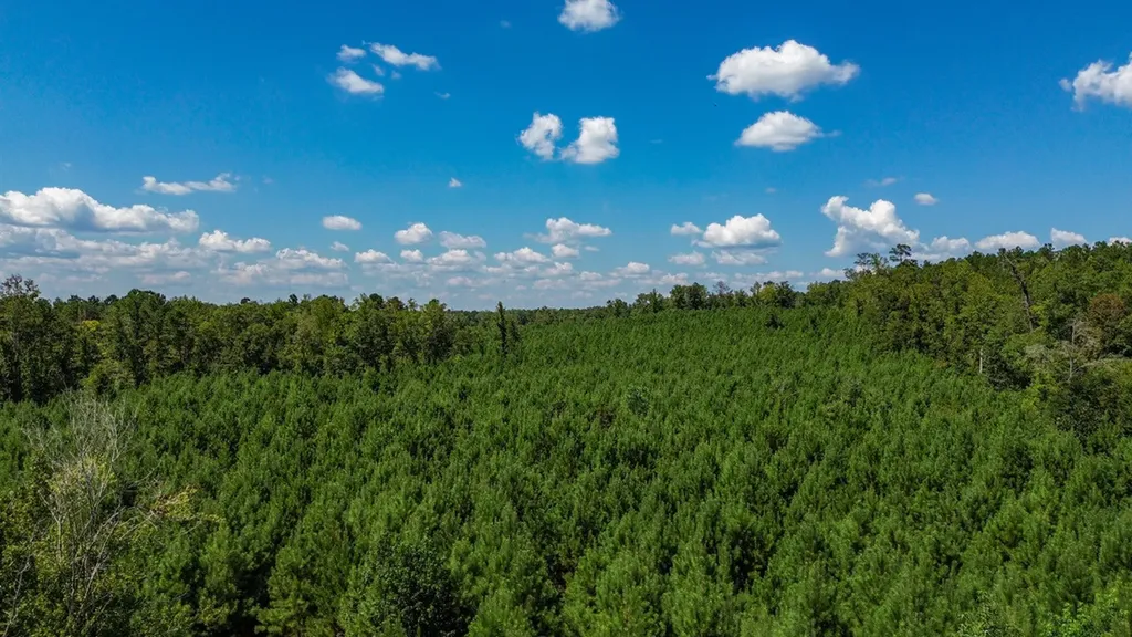 0 Co Road 61 Pine Apple AL 36768