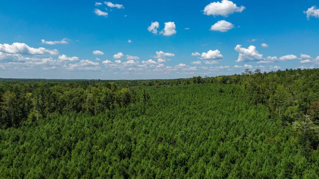 0 Co Road 61 Pine Apple AL 36768