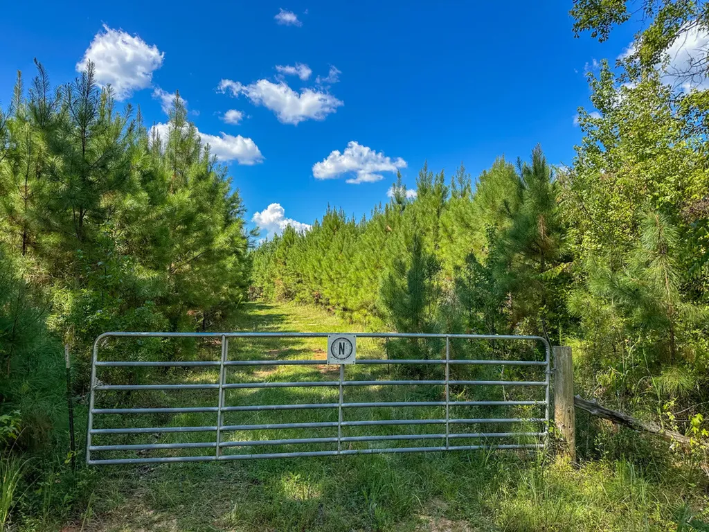 0 Co Road 61 Pine Apple AL 36768