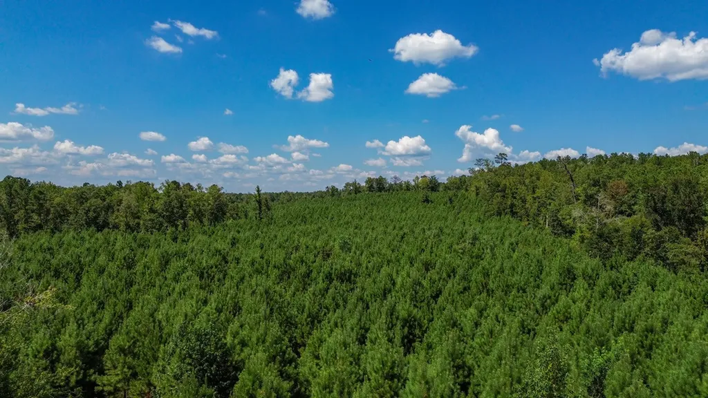 0 Co Road 61 Pine Apple AL 36768