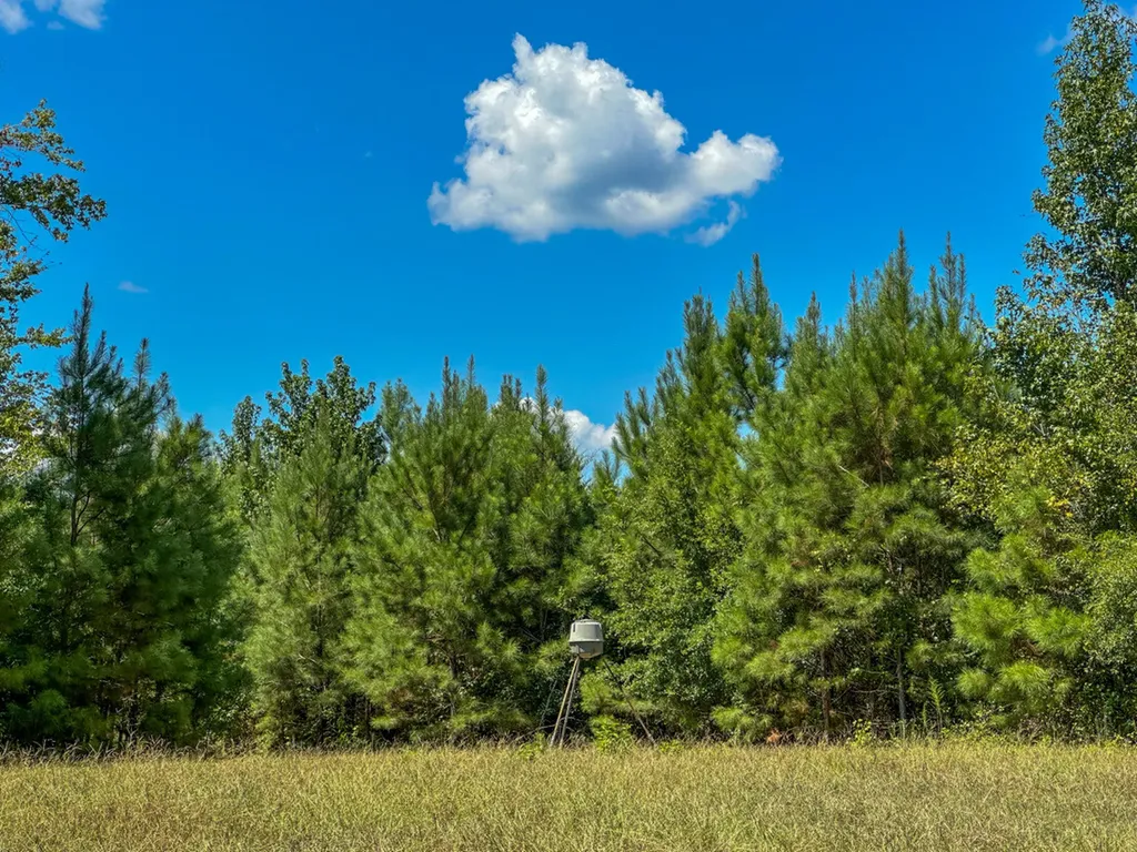 0 Co Road 61 Pine Apple AL 36768