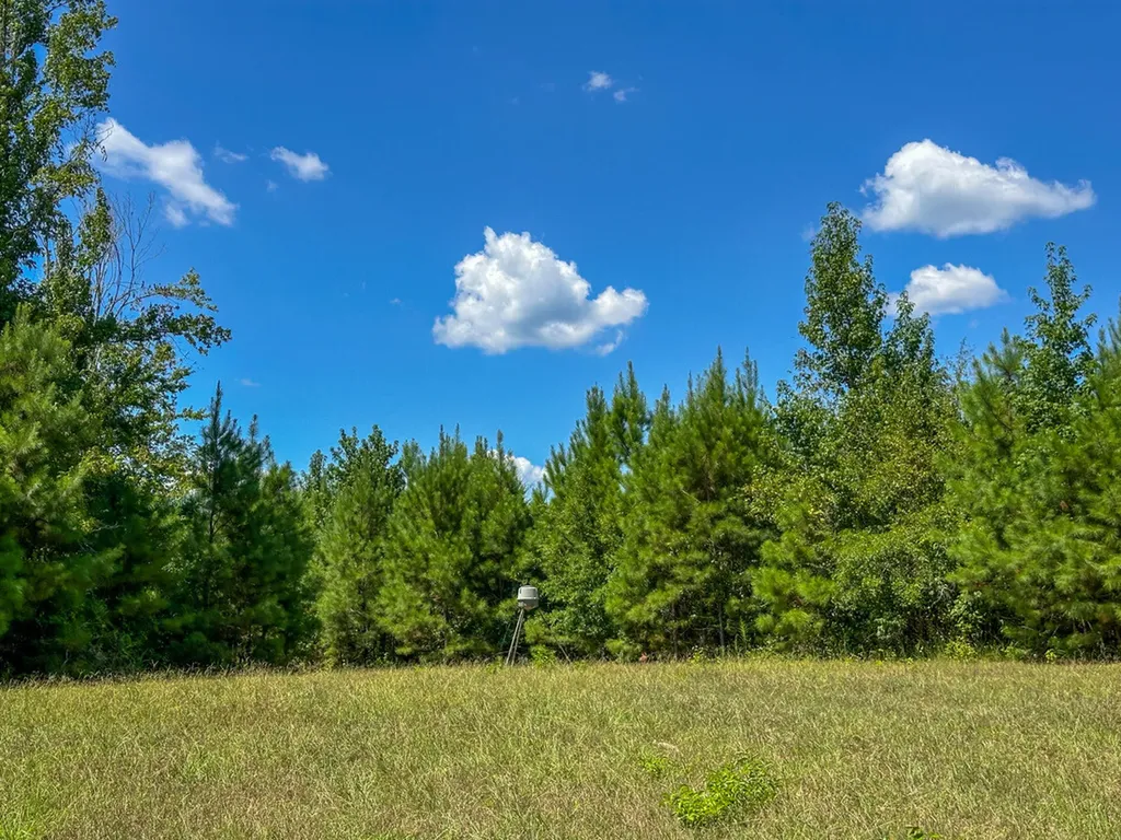 0 Co Road 61 Pine Apple AL 36768