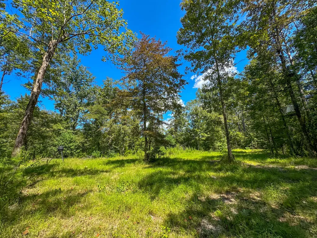 0 Co Road 61 Pine Apple AL 36768