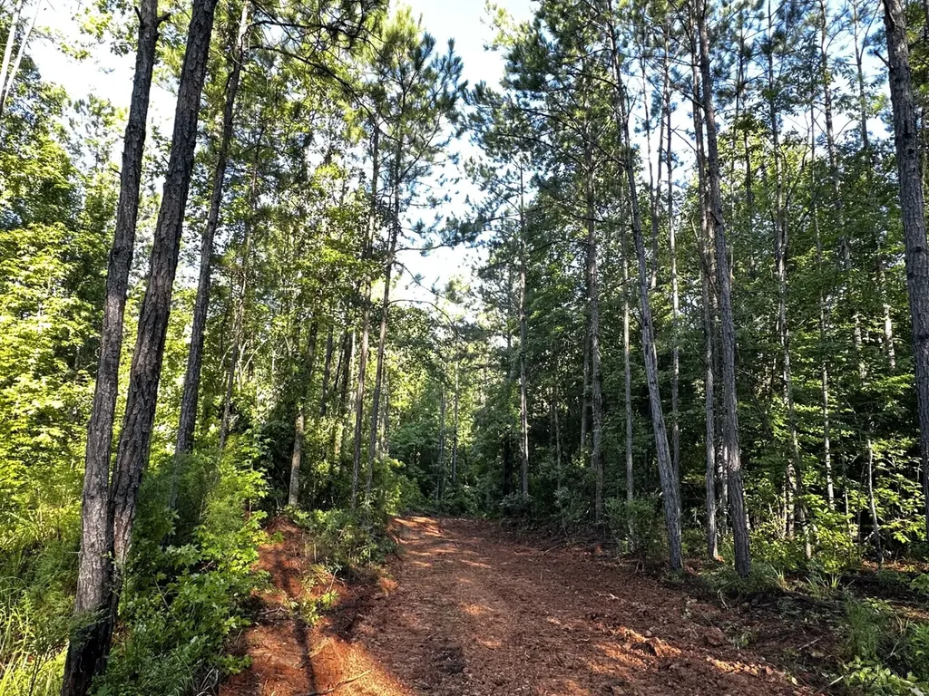 0 Co Road 61 Pine Apple AL 36768