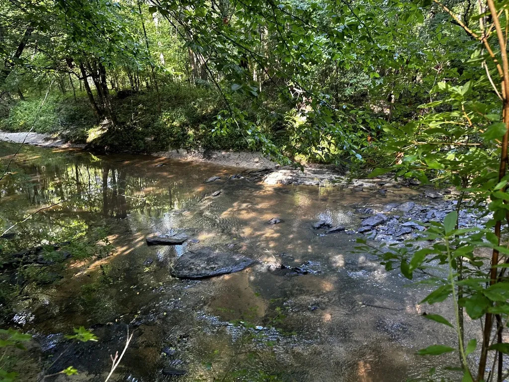 0 Co Road 61 Pine Apple AL 36768