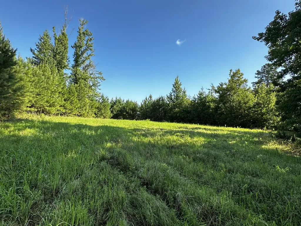 0 Co Road 61 Pine Apple AL 36768