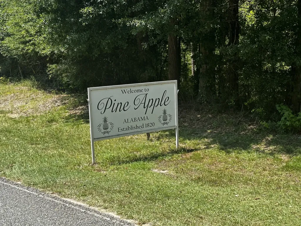 0 Co Road 61 Pine Apple AL 36768