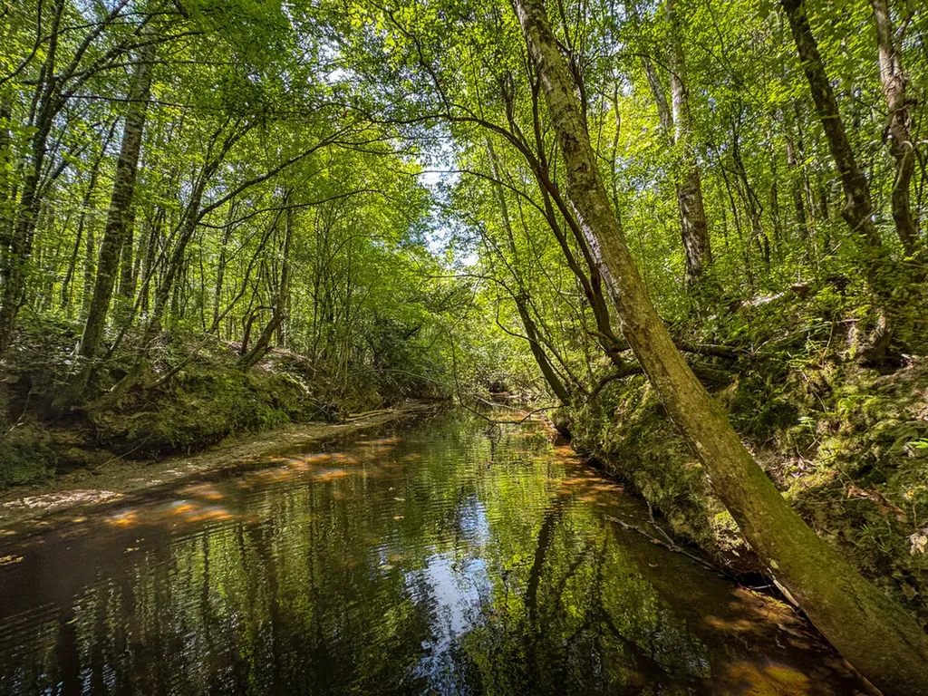 0 Co Road 61 Pine Apple AL 36768