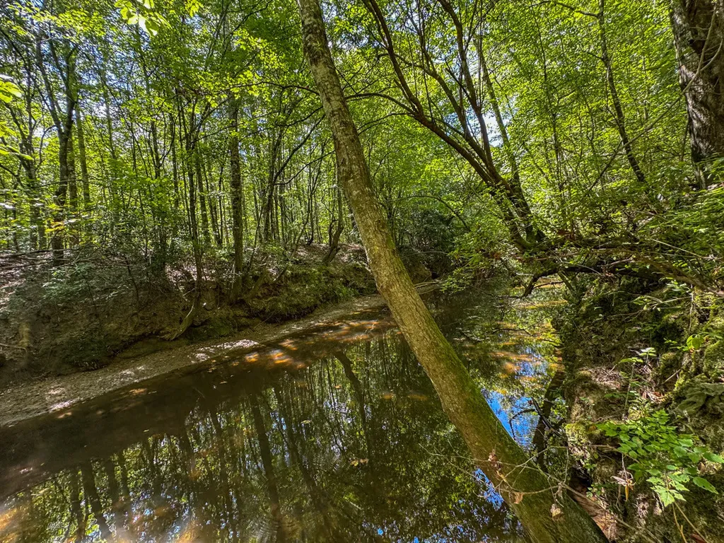 0 Co Road 61 Pine Apple AL 36768