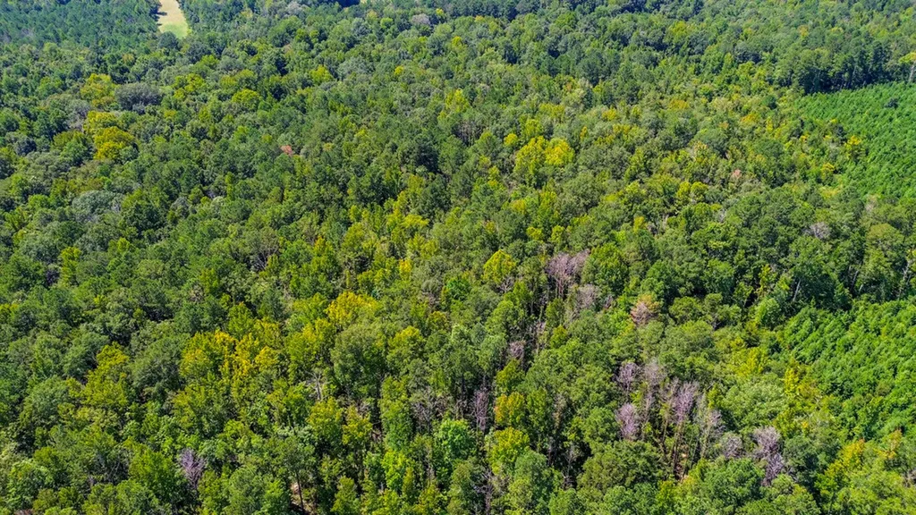 0 Co Road 61 Pine Apple AL 36768