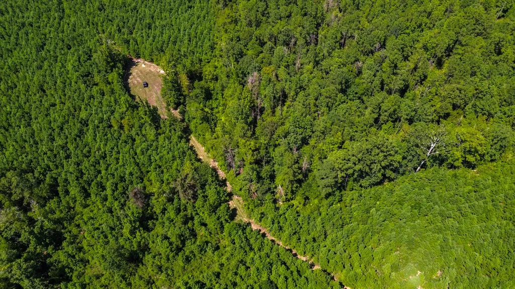 0 Co Road 61 Pine Apple AL 36768