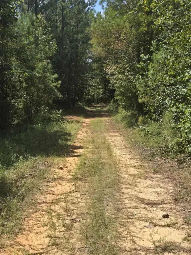 000 Adams Road Bankston AL 35542