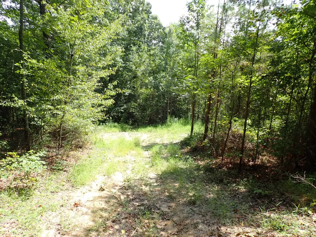 000 Adams Road Bankston AL 35542