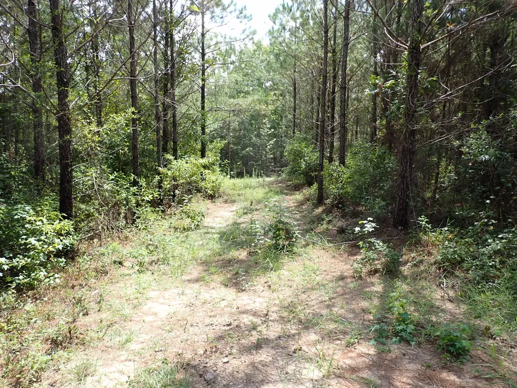 000 Adams Road Bankston AL 35542