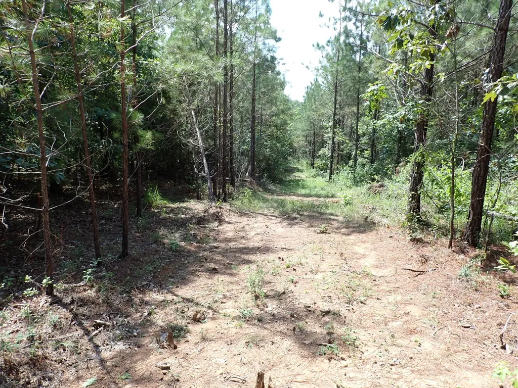 000 Adams Road Bankston AL 35542