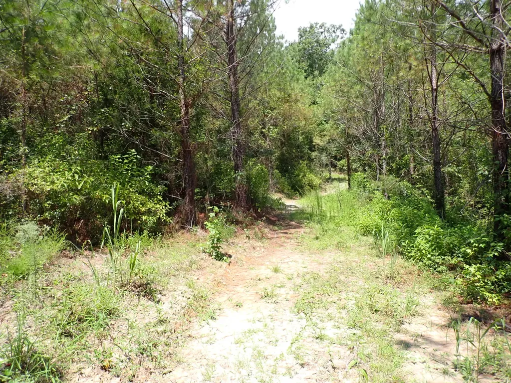 000 Adams Road Bankston AL 35542