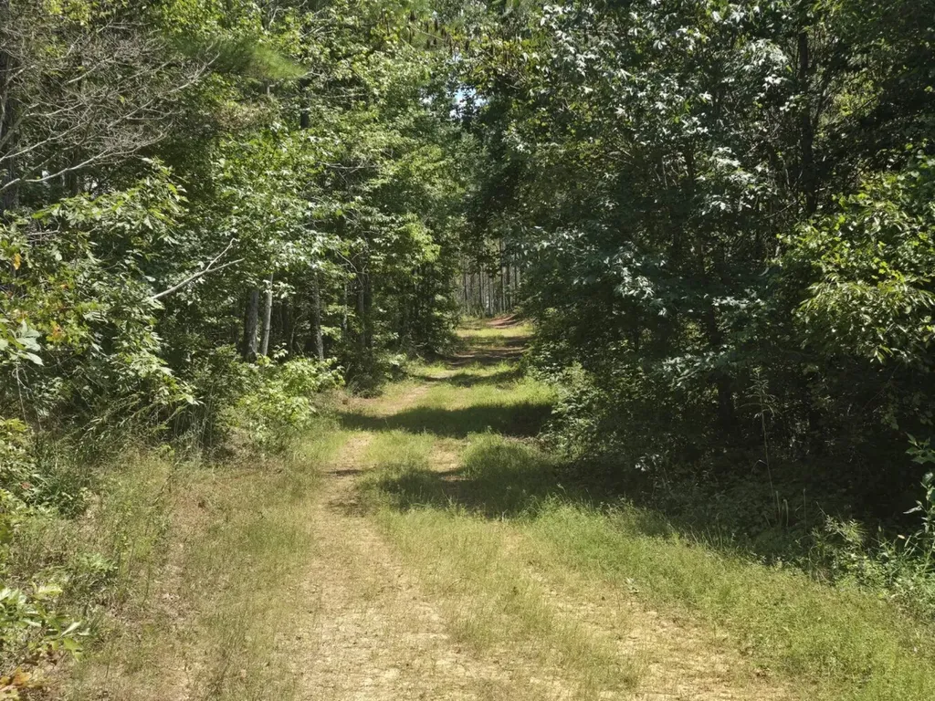 000 Adams Road Bankston AL 35542