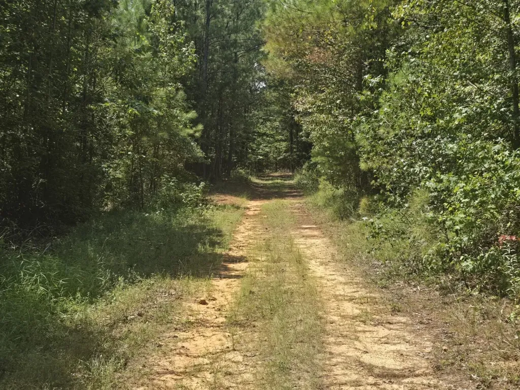 000 Adams Road Bankston AL 35542