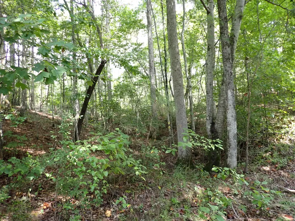 000 Adams Road Bankston AL 35542