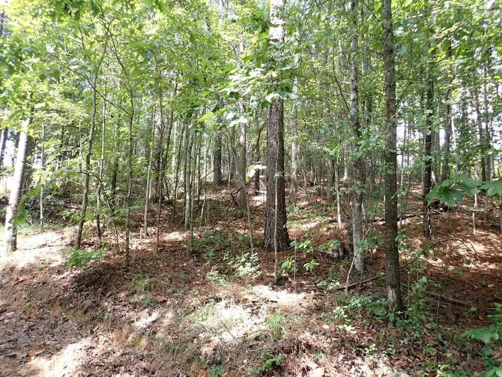 000 Adams Road Bankston AL 35542