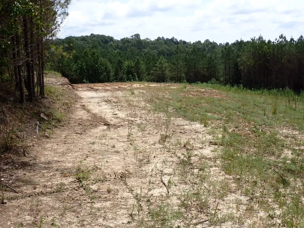 000 Adams Road Bankston AL 35542