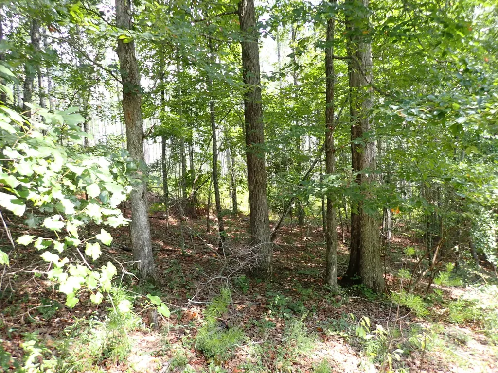 000 Adams Road Bankston AL 35542