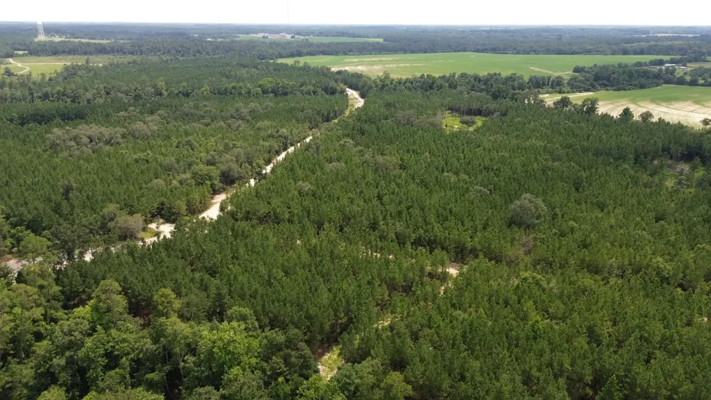 0 Lechner Road Robertsdale AL 36567