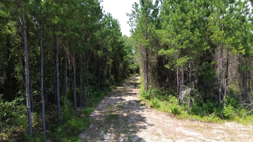 0 Lechner Road Robertsdale AL 36567