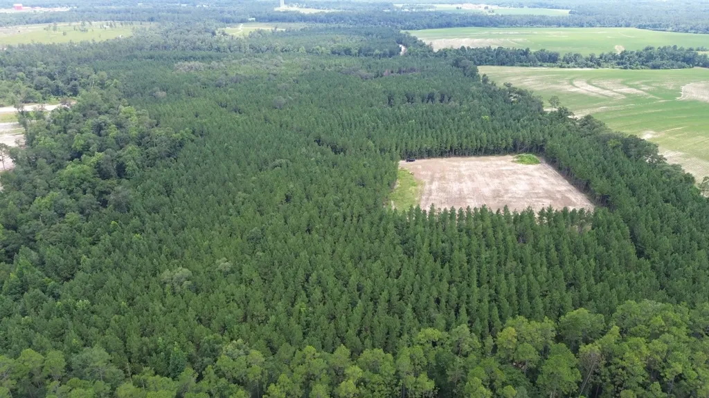 0 Lechner Road Robertsdale AL 36567