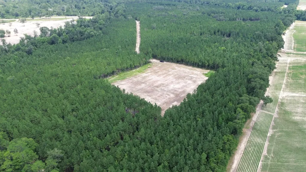 0 Lechner Road Robertsdale AL 36567