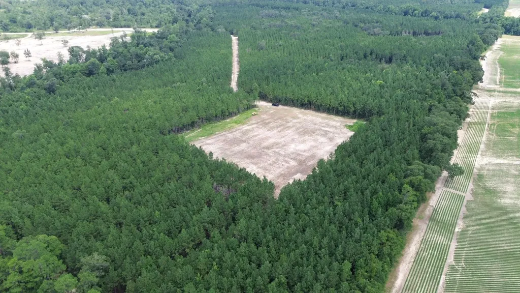 0 Lechner Road Robertsdale AL 36567