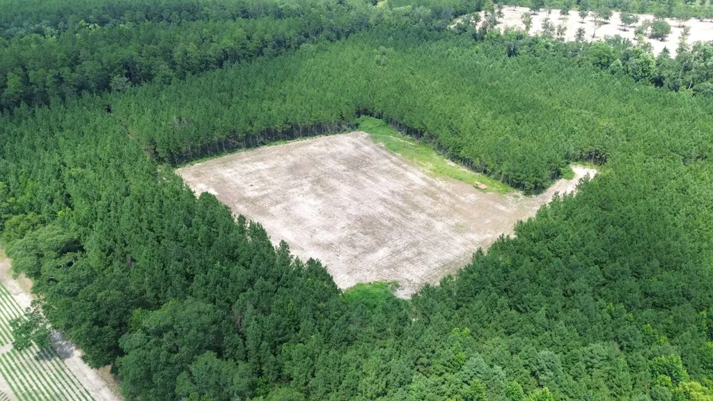 0 Lechner Road Robertsdale AL 36567