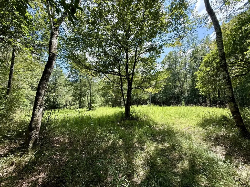 0 Ernest Everett Road Vinegar Bend AL 36584