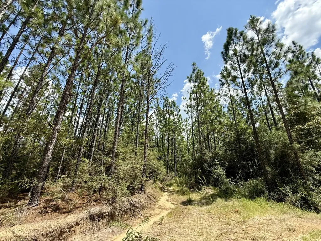 0 Ernest Everett Road Vinegar Bend AL 36584