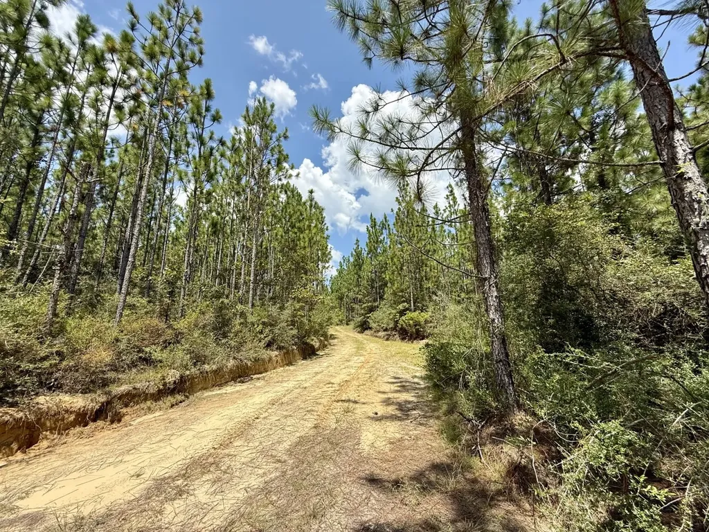 0 Ernest Everett Road Vinegar Bend AL 36584