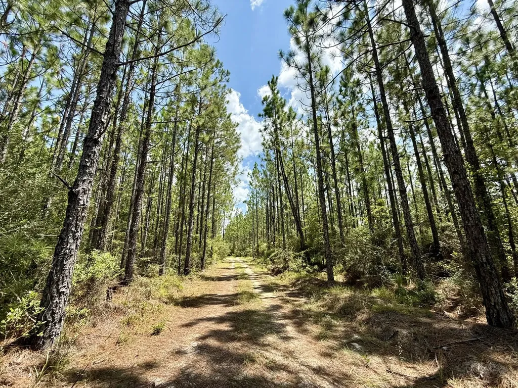 0 Ernest Everett Road Vinegar Bend AL 36584