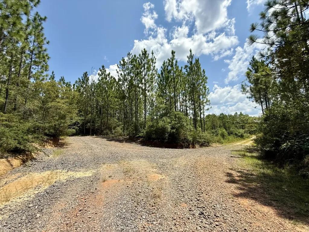 0 Ernest Everett Road Vinegar Bend AL 36584