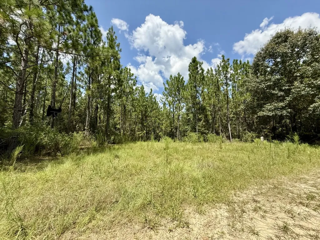 0 Ernest Everett Road Vinegar Bend AL 36584