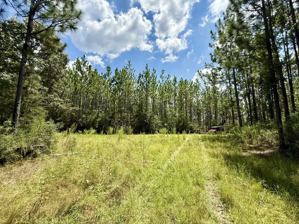 0 Ernest Everett Road Vinegar Bend AL 36584