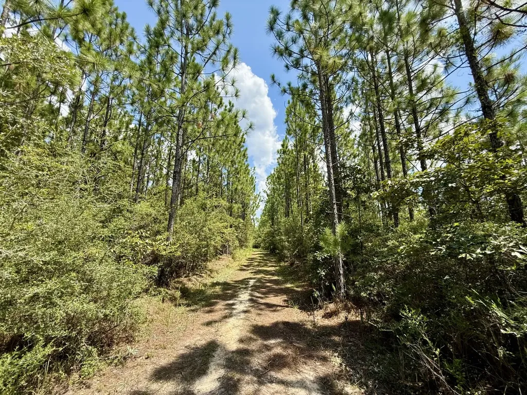 0 Ernest Everett Road Vinegar Bend AL 36584