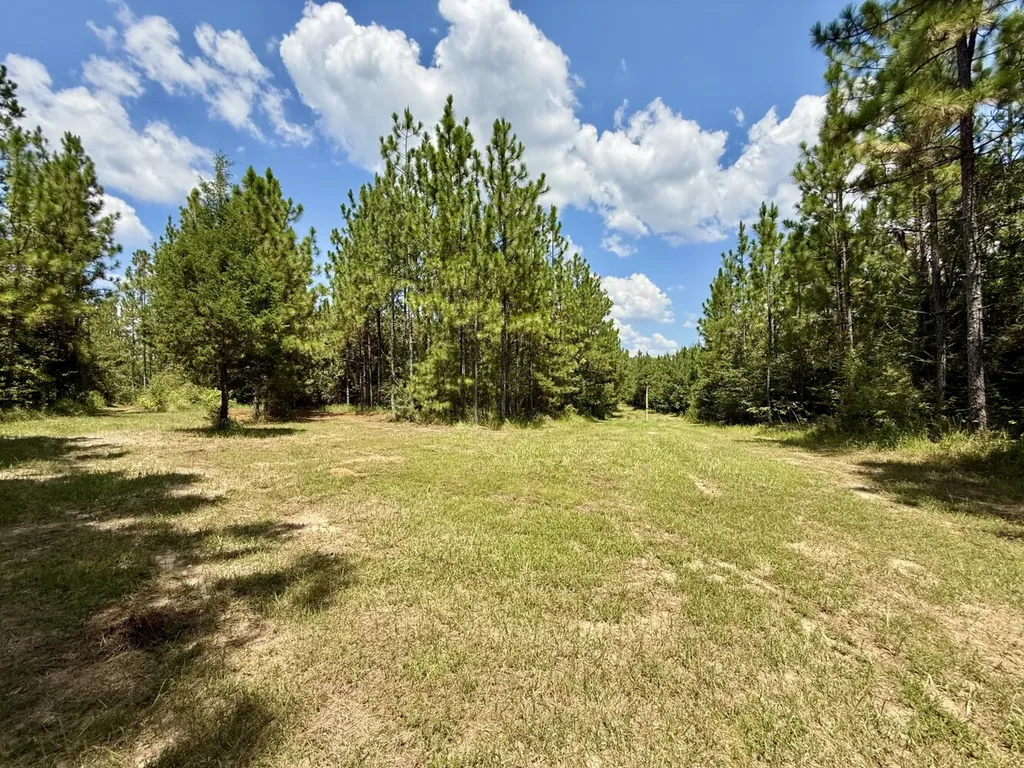 0 Ernest Everett Road Vinegar Bend AL 36584