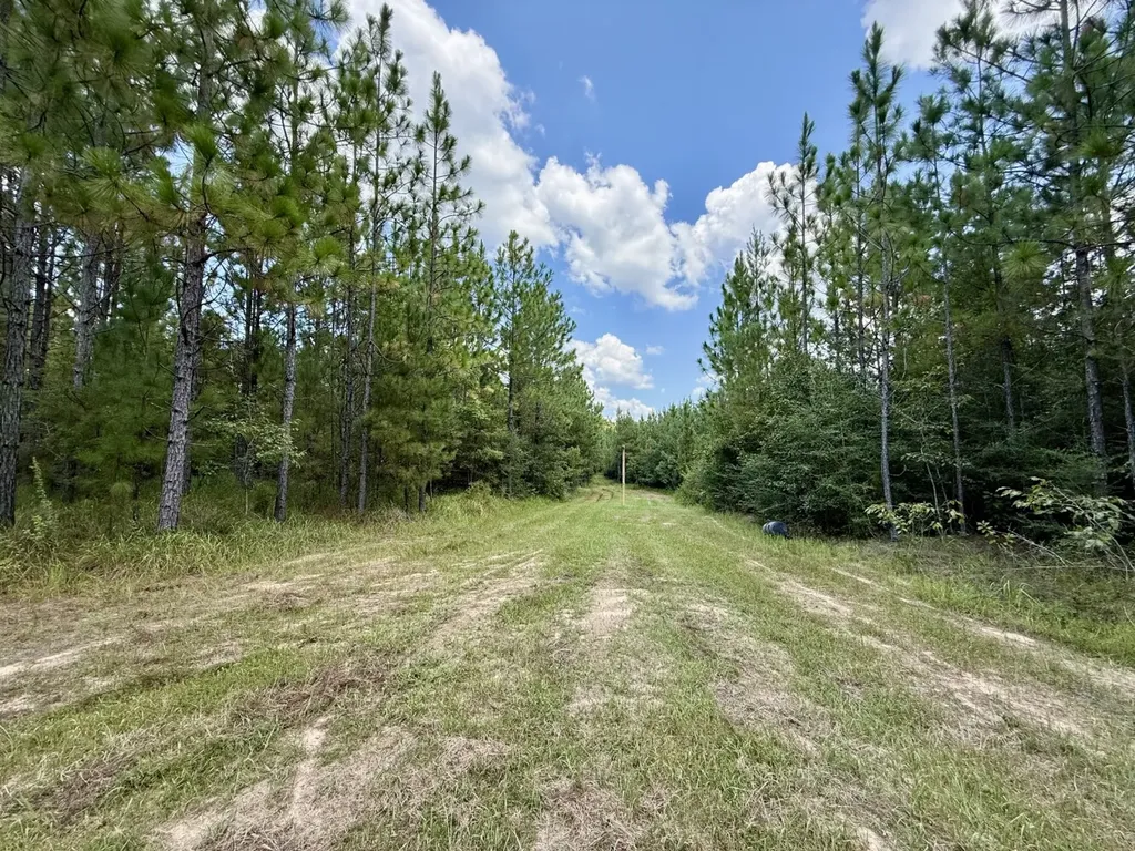 0 Ernest Everett Road Vinegar Bend AL 36584