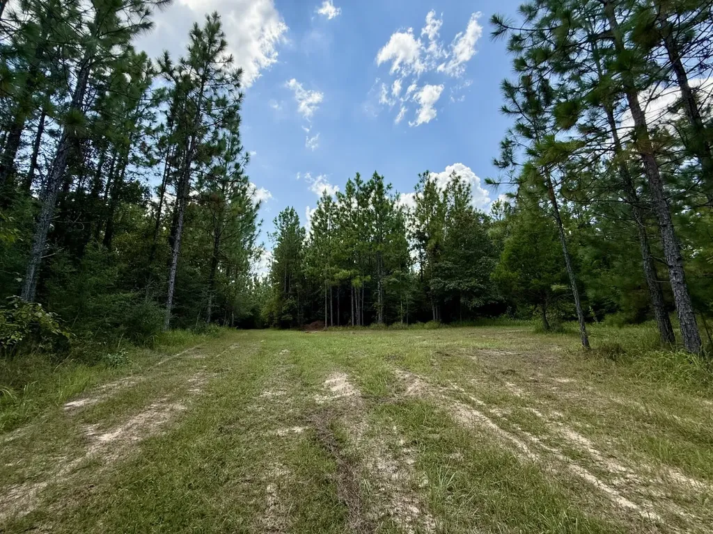 0 Ernest Everett Road Vinegar Bend AL 36584