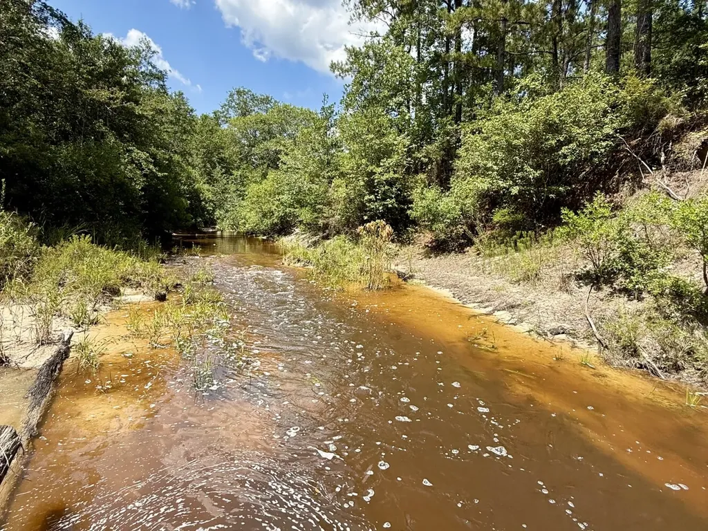 0 Ernest Everett Road Vinegar Bend AL 36584